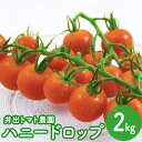 【ふるさと納税】トマト 井出トマト農園 ハニードロップ 2kg 　 フルーツトマト ミニトマト 野菜 　お届け：ご入金後、1～2週間後に発送