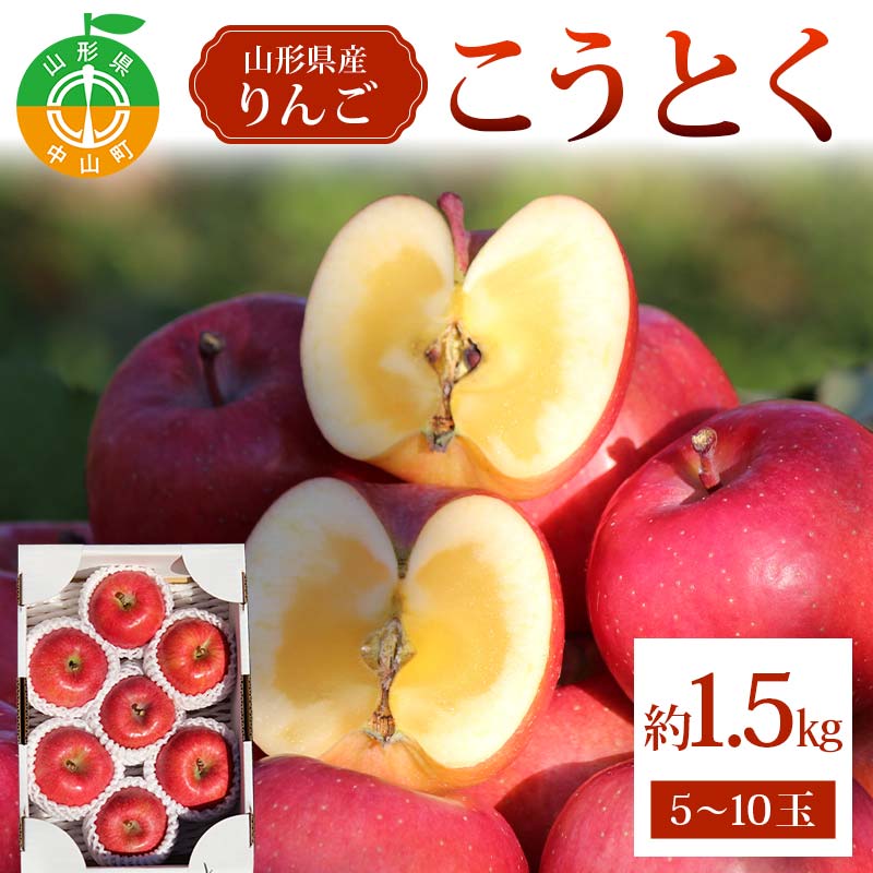 【ふるさと納税】こうとく約1.5kg 5～10玉 こうとく 林檎 リンゴ 果物 くだもの フルーツ 山形県産 F4A-0941