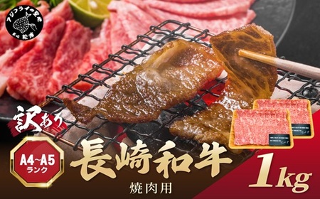 訳あり！【A4～A5】長崎和牛焼肉用 500g×2P( 牛肉 牛 和牛 国産 焼肉 おすすめ 赤身 美味しい バーベキュー プレゼント ギフト 送料無料 お取り寄せ )【C2-050】