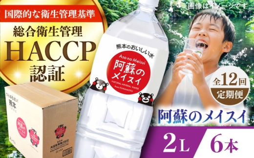 【全12回定期便】阿蘇のメイスイ 2L 6本×1ケース / 水・ミネラルウォーター 2000ml 天然水 水 ミネラルウォーター 定期便 2L×6本 軟水 【丸富産業株式会社】 [BHDG026]