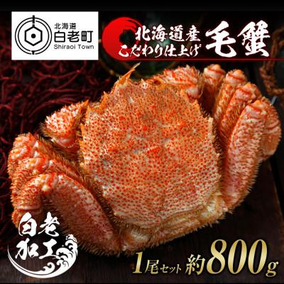 ふるさと納税 白老町 毛蟹 ボイル済み 冷凍 1尾セット 約800g BM032