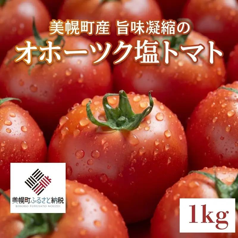 【先行予約】美幌町産・旨味凝縮のオホーツク塩トマト 約1kg（2026年7月下旬より順次発送） AF006 | トマト