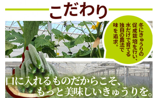 ゆたか農園のこだわり