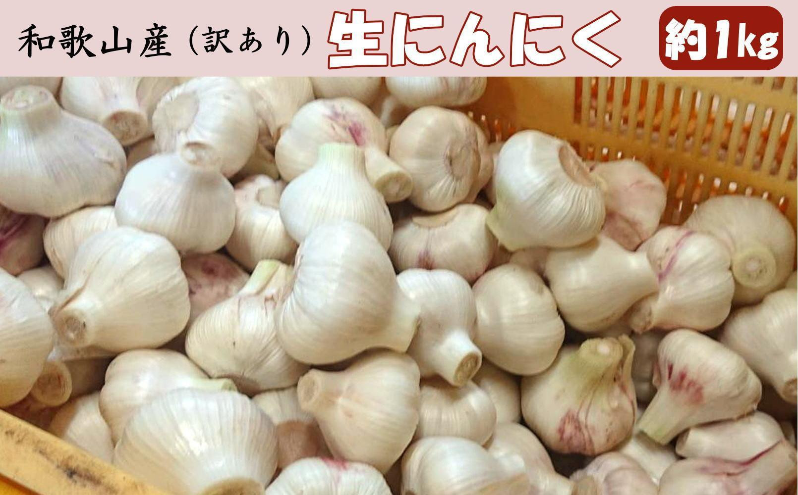 
            和歌山県産 生にんにく 約1kg ご家庭用 ［TM202］
          