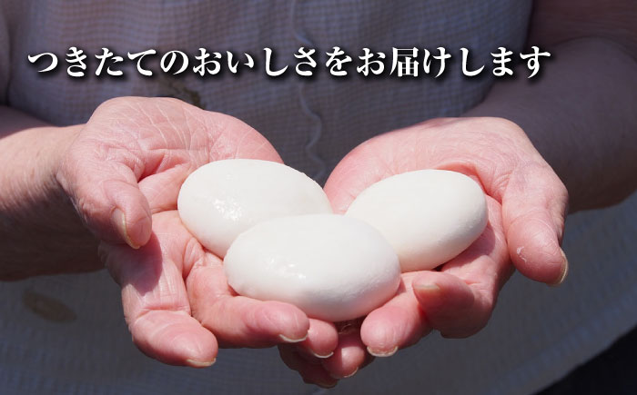 【大正創業の老舗菓子屋からお届け】 東島製菓の杵つき餅 500g×2袋 1kg 約25個 / パック おもち もち / 大村市 / 東島製菓 [ACBO001]