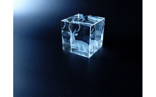 F-74 3D レーザー加工のクリスタルガラス1個 有限会社高山商会 奈良市