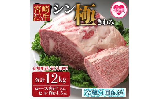 ＜宮崎牛『シン極(きわみ)』ロース肉約7.5kg、ヒレ肉約4.5kg (冷蔵・１回配送)＞ 国産ブランド牛 黒毛和牛【MI019-nk-c-01】【中村食肉】