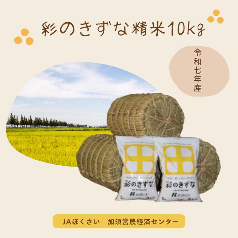 【令和7年産】【ふるさと納税】加須市産　彩のきずな　精米10kg