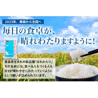 ふるさと納税 つがる市 はれわたり10kg [0900] |  | 02