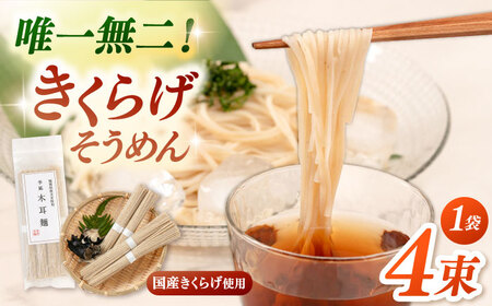 きくらげ麺 1袋（4束）ADBA015 素麺 人気 素麺 希少