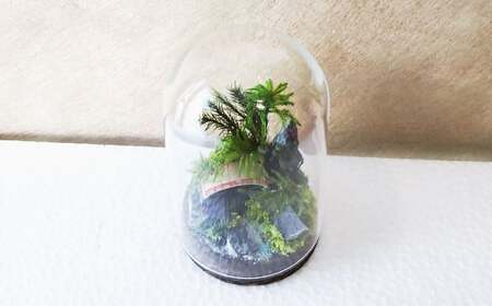 【さとリウムR】プリザーブド加工のテラリウム なごみ（橋） 1セット ｜テラリウム ガラスドーム 苔 こけ コケ 植物 鑑賞用 インテリア 水やり不要