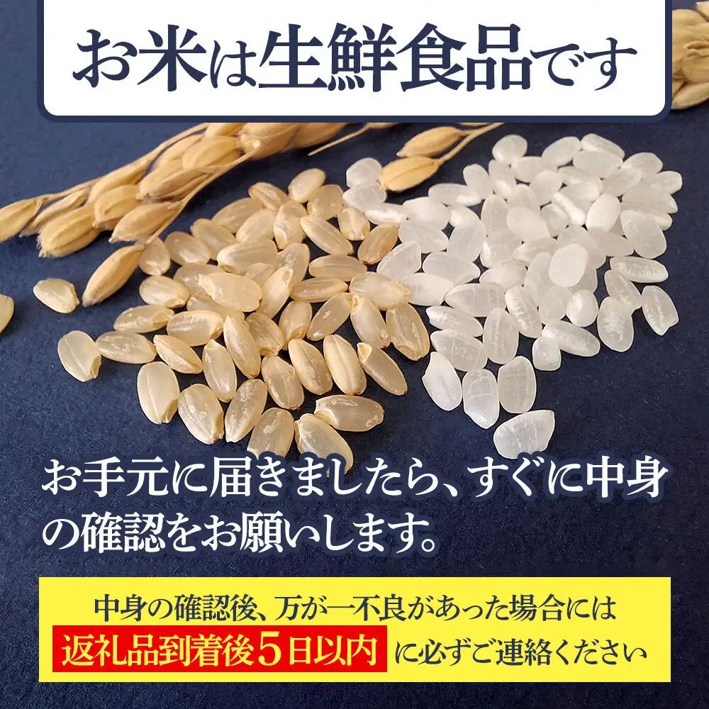 【無洗米】＜令和8年産 新米予約＞秋田県産 あきたこまち 10kg (5kg×2袋) 10キロ お米 匠