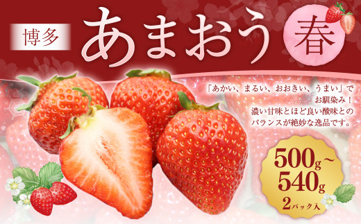 博多あまおう2パック（春） 250g～270g×2パック 合計約500g～540g あまおう いちご 苺 イチゴ フルーツ 果物 くだもの【2027年2月上旬-4月下旬発送予定】