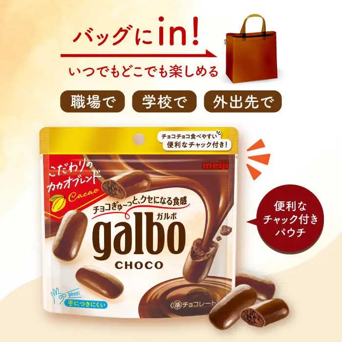 ガルボチョコ パウチ 48袋[AOAA028] チョコレート