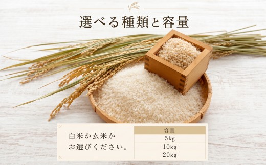 《令和8年産 新米 》  元気つくし 10kg 白米   ふるさと納税限定 ふるさと納税限定品 定期便 kome 精米 お米 米 白米 食品 ご飯 飯 福岡県産 防災 生活応援 九州 福岡県 川崎町