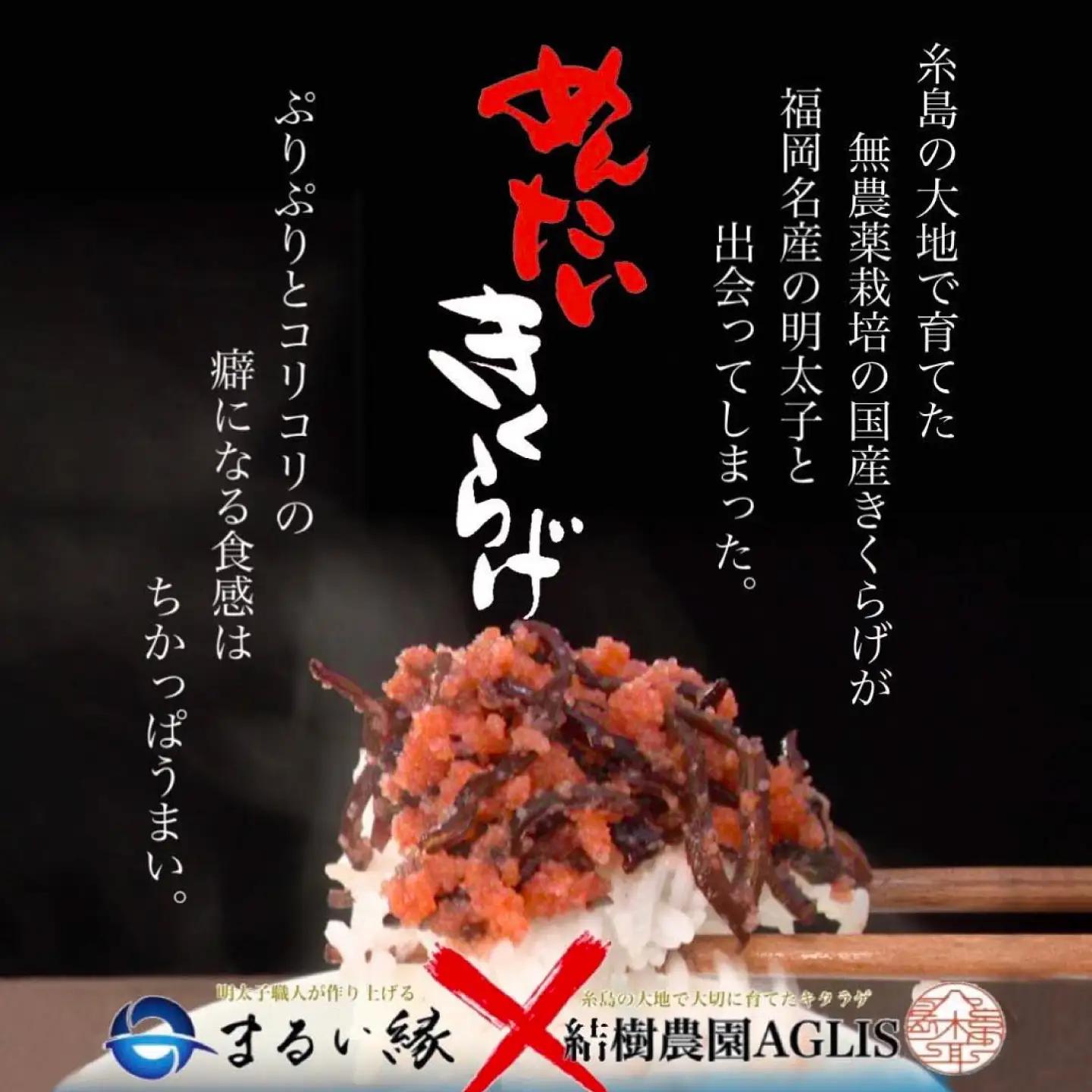結樹農園 アグリス めんたい きくらげ 300g×5P 《糸島》【結樹農園アグリス】きくらげ/国産/明太/明太子 [AAJ003]