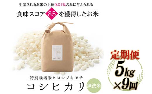 ≪先行予約≫【9回定期】特別栽培米 コシヒカリ ヒロシノキモチ 無洗米 5kg 総計45kg 陽咲玲 米 お米 コメ 無洗米 ご飯 ごはん 富山県産 富山県 立山町 F6T-818