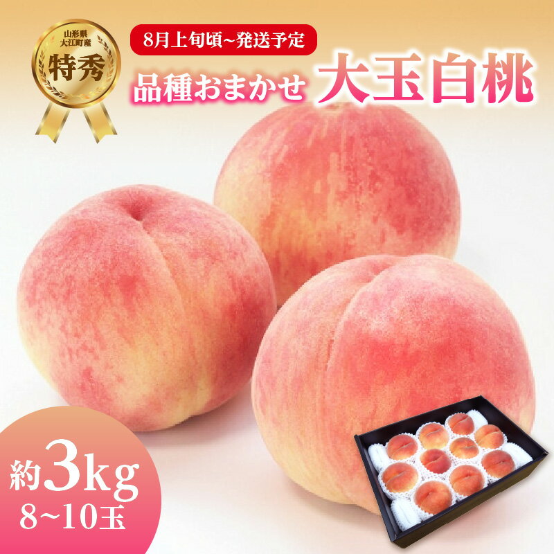 【ふるさと納税】 《先行受付》品種おまかせ 大玉白桃 約3kg【特秀】 （8〜10玉）【2025年8月上旬頃〜発送予定】 レビューキャンペーン