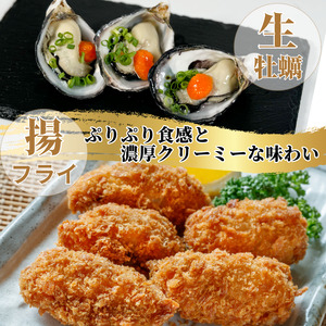 牡蠣 12個 計480g～600g 生食用 殻付きかき