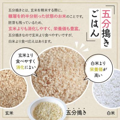 ふるさと納税 葛城市 石田農園 パックごはん(5分搗) 150g 計20個セット |  | 03