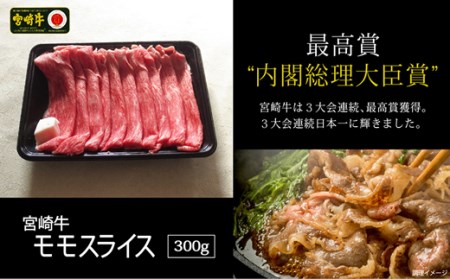 ＜宮崎牛＆宮崎県産豚＞赤身スライスセット 合計800g ※90日以内出荷【B328】