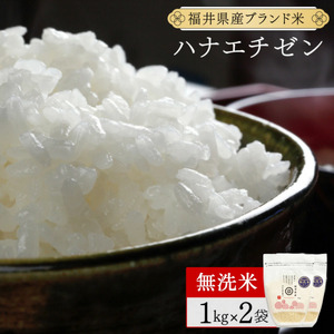 【定期便6回】ハナエチゼン 無洗米 2kg（1kg×2）令和7年産 [095-t06-a216]