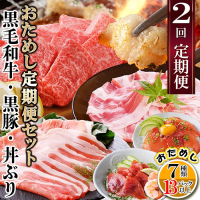 定期便2回配送　鹿児島県産黒毛和牛・黒豚・漬丼　お試し定期便セット DD−6007【配送不可地域：離島】【1486099】