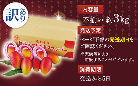 【訳あり】【心地よい至福の果肉感！】完熟プレミアム プリンセスマンゴー 不揃い3000g【堀内フルーツファーム】[QAT015]