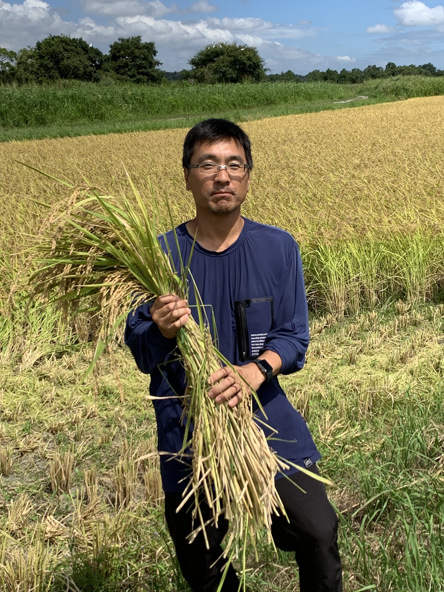 【ふるさと納税】多古米セレクション　高石健太郎さんの多古米コシヒカリ　精米5kg　令和7年産【配送不可地域：離島】多古米 コシヒカリ 白米 精米 千葉県産 多古町【TAKF035】