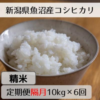 ふるさと納税 十日町市 【2ヵ月毎定期便】新潟県魚沼産コシヒカリ「山清水米」精米10kg全6回