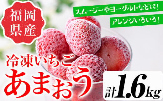 
＜先行予約受付中！2024年4月から順次発送予定＞訳あり いちごの王様【あまおう】冷凍いちご (計1.6kg) 苺 いちご あまおう フルーツ 果物 冷凍 数量限定＜離島配送不可＞【ksg1322】【よっちゃんファーム】
