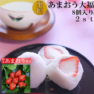 【化粧箱入】あまおう大福 16個 50g×8個×2箱(計800g) 吉富町/株式会社博多漁師の里[BGAE048]