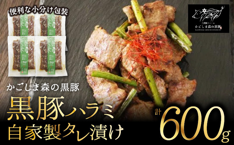 
                  【のし対応可】「かごしま森の黒豚」黒豚ハラミ自家製タレ漬け600g小分け　KN004-021_SKU
                