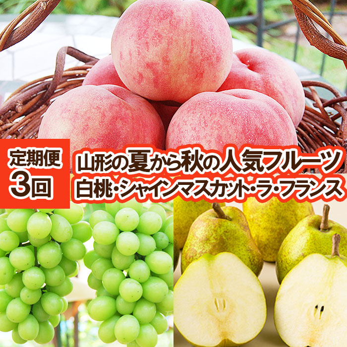★定期便3回★山形の夏から秋の人気フルーツ(白桃・シャインマスカット・ラフランス) 【令和8年産先行予約】FS25-687
