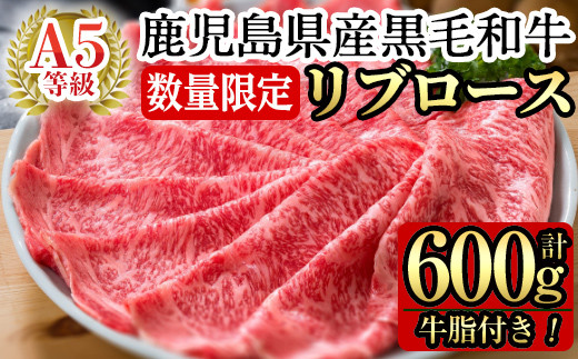 
C-080＜数量限定！＞鹿児島県産黒毛和牛リブロース肉600g(A-5等級)【九面屋】霧島市 国産 牛肉 A5
