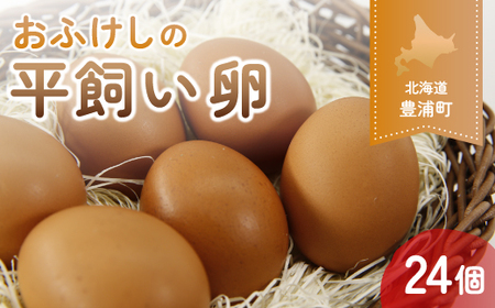 北海道 豊浦 おふけしの平飼い卵 24個 【 ふるさと納税 人気 おすすめ ランキング 穀物 国産 卵 たまご 鶏 ニワトリ 平飼い おいしい 美味しい 新鮮 北海道 豊浦町 送料無料 】 TYUZ001