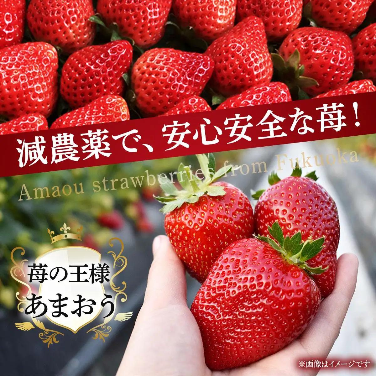 寄附額改定↓ 自然環境農法 福岡県産 冷凍あまおう 2kg|苺 いちご イチゴ 完熟 あかい まるい おおきい うまい フルーツ 果物 デザート 期間限定 産地直送 冷蔵 お取り寄せ グルメ 送料無料