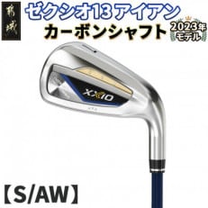 ゼクシオ 13 アイアン カーボンシャフト【S/AW】 ≪2023年モデル≫_DA-C705-AWS