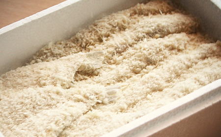 まるは食堂の「エビフライ」 「キスフライ」並盛セット【配送不可地域：離島】【1380930】