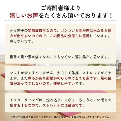 ふるさと納税 加西市 [ドクターリビング]トレーニング冊子付 ヨガマット[No5698-0740] |  | 02