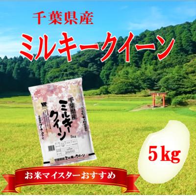ふるさと納税 大網白里市 【令和7年産】千葉県産「ミルキークイーン」精米 5kg(5kg×1袋)