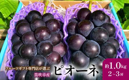 【2026年発送★先行予約】山梨県笛吹市産　旬の採れたてピオーネ　約1kg　2～3房 105-014-26y