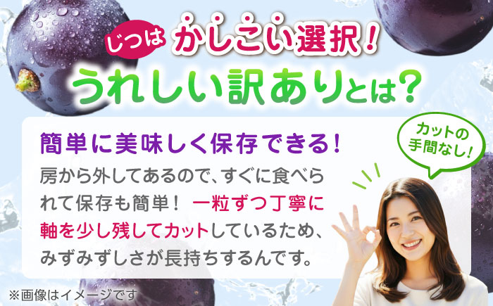 【先行予約】訳あり ピオーネ ぶどう 切り落とし 約1kg  【合同会社 社方園】  訳あり ぶどう フルーツ 果物 ブドウ  [ZBZ007]