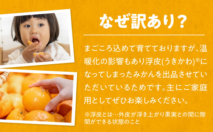 【先行予約】【夏限定】【ご家庭用】愛媛県産 峯田農園のあま〜い「ハウスみかん」5kg　小玉（2S,S,Mサイズ混合）愛媛県大洲市/峯田農園　 [AGBT021]