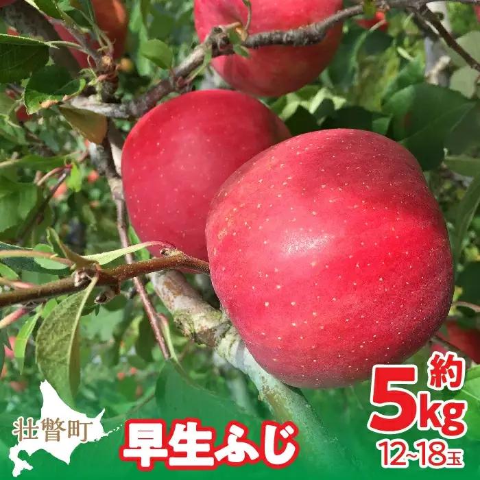 北海道壮瞥町産りんご「早生ふじ」約5kg(12～18玉)＜2026年10月中旬よりお届け＞ SBTF009