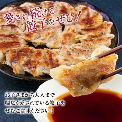 ふるさと納税 日南市 焼くだけ!!簡単調理!!本格 肉餃子　計300個(20個入り×15パック) |  | 02