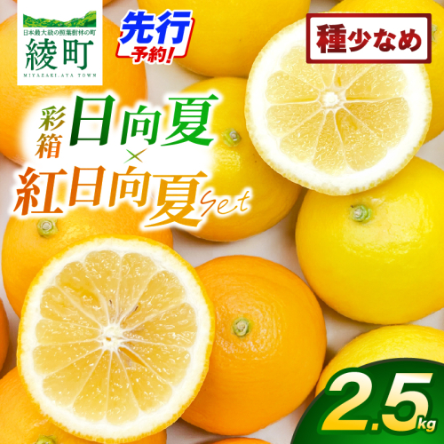 【先行予約】紅日向夏と日向夏の彩り箱 2.5kg【JA綾町】_A0114-2451