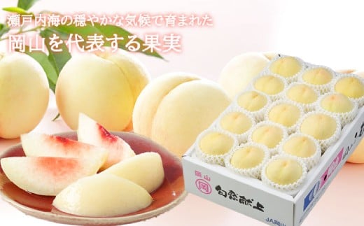 岡山白桃 ロイヤル 8～16玉 計約4kg