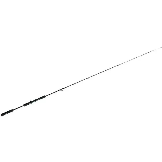 釣り竿 剛樹 LTバイト 海釣り 釣り竿【205cm 15-80号】 LTB205