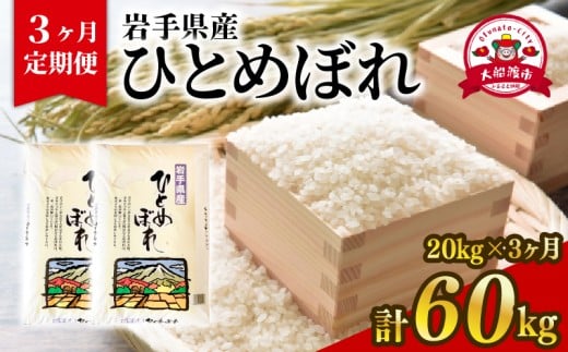 【3ヶ月/定期便】ひとめぼれ 20kg × 3回 精米 大船渡市 岩手県産 お米 米 コメ こめ rice ライス
